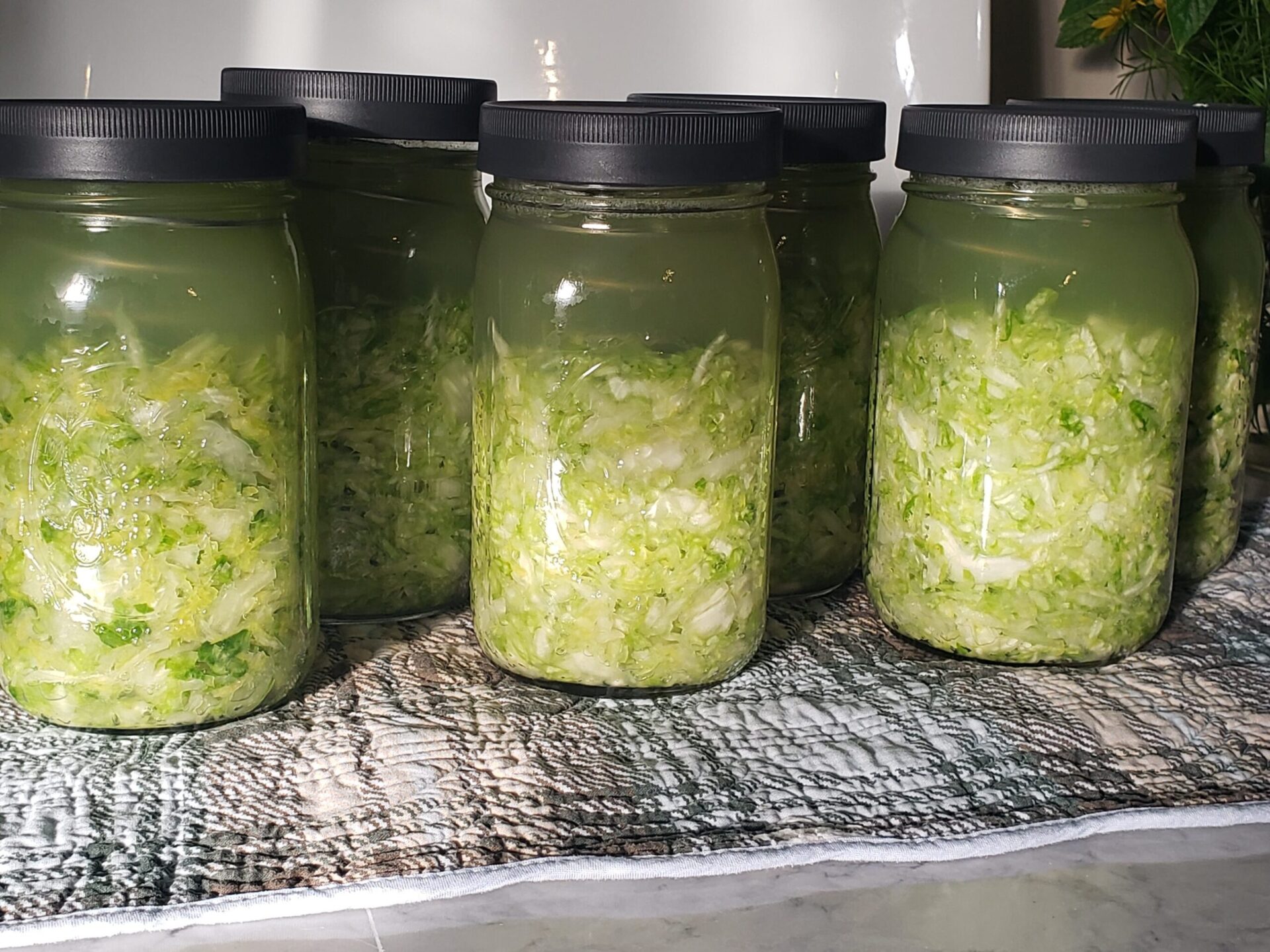 Homemade Sauerkraut In Canning Jars